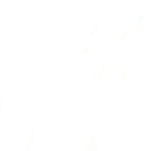 Meet your Posher, Marty